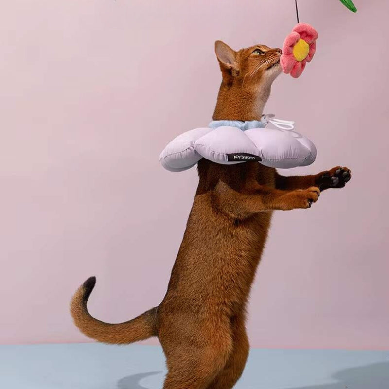 FlowerPetConeCollar
