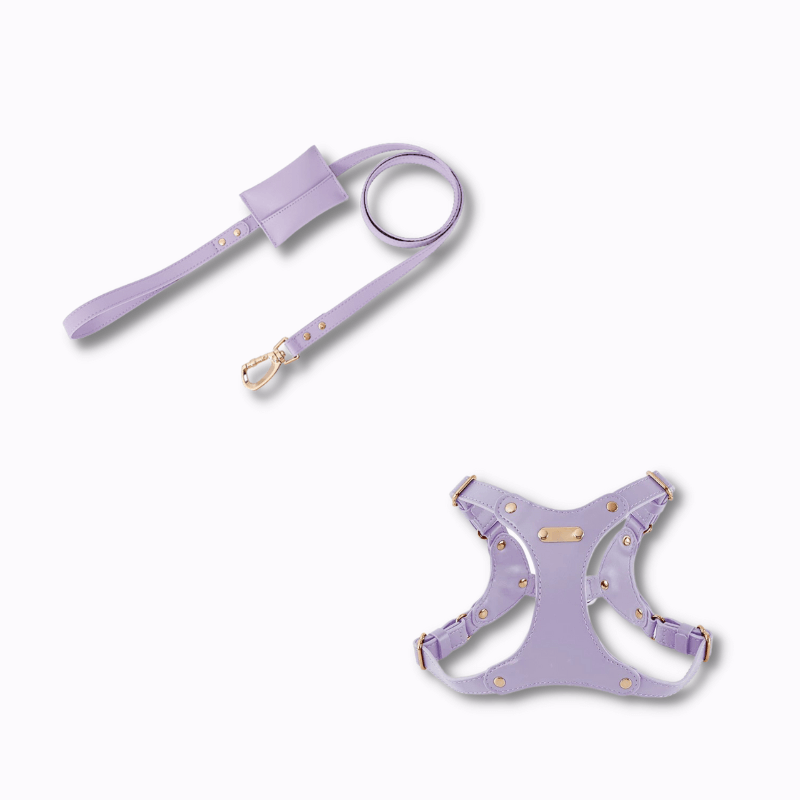 Hoop Vegan Leather Dog Harness Kit All-IN-ONE Purple