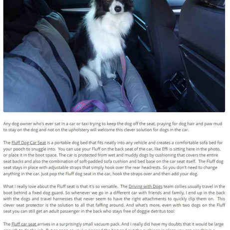 Fluff Dog Car Seat