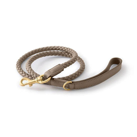 Premium Handcrafted Leather Dog Collar Kit