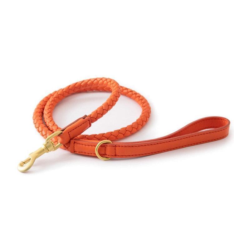 Premium Handcrafted Leather Dog Collar Kit