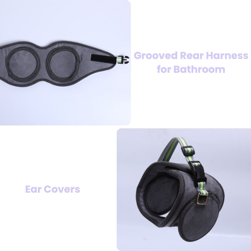 Julibee's OmniStep modular rear support dog wheelchair with grooved harness