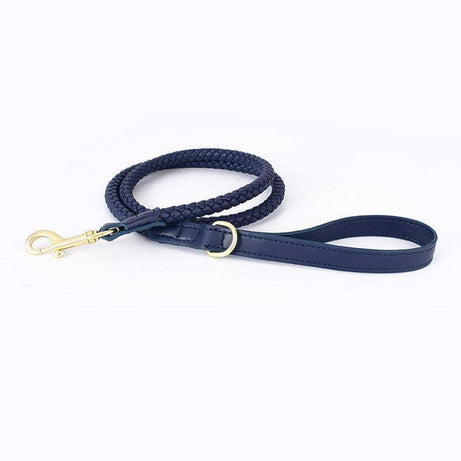 Premium Handcrafted Leather Dog Collar Kit