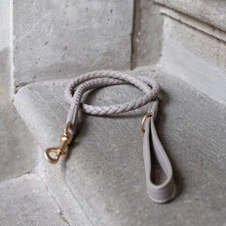 Premium Handcrafted Leather Dog Collar Kit