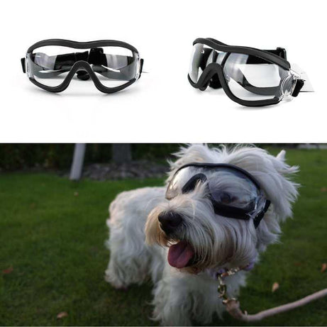 Dog Goggles