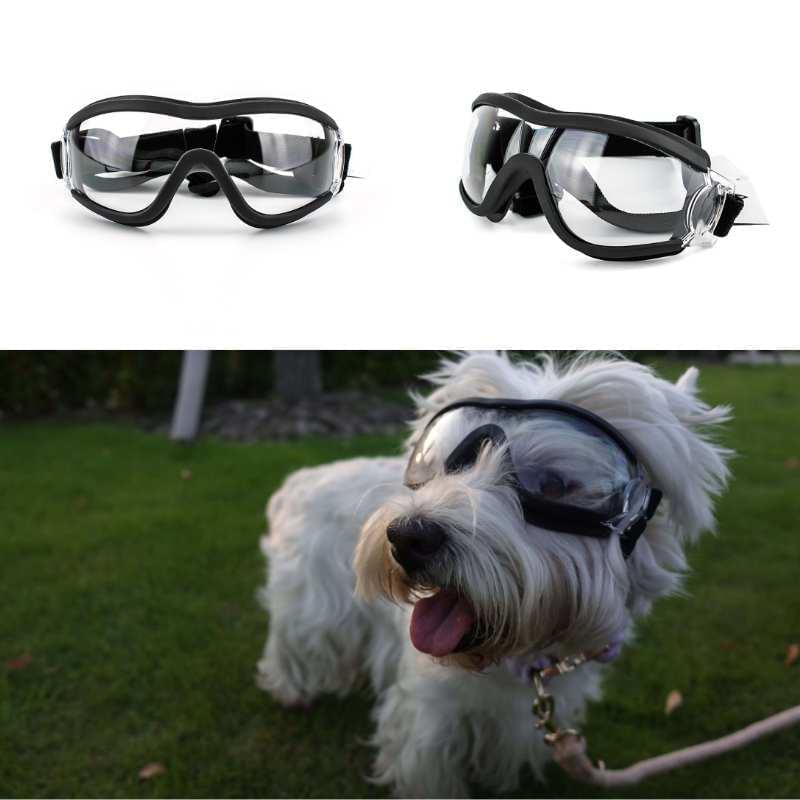 Dog Goggles