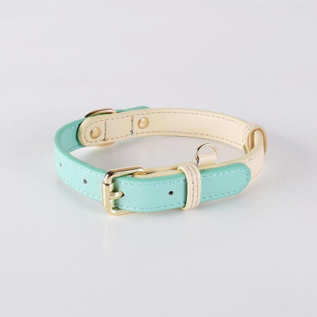 Genuine Leather Dog Collar Kit Collar Mint