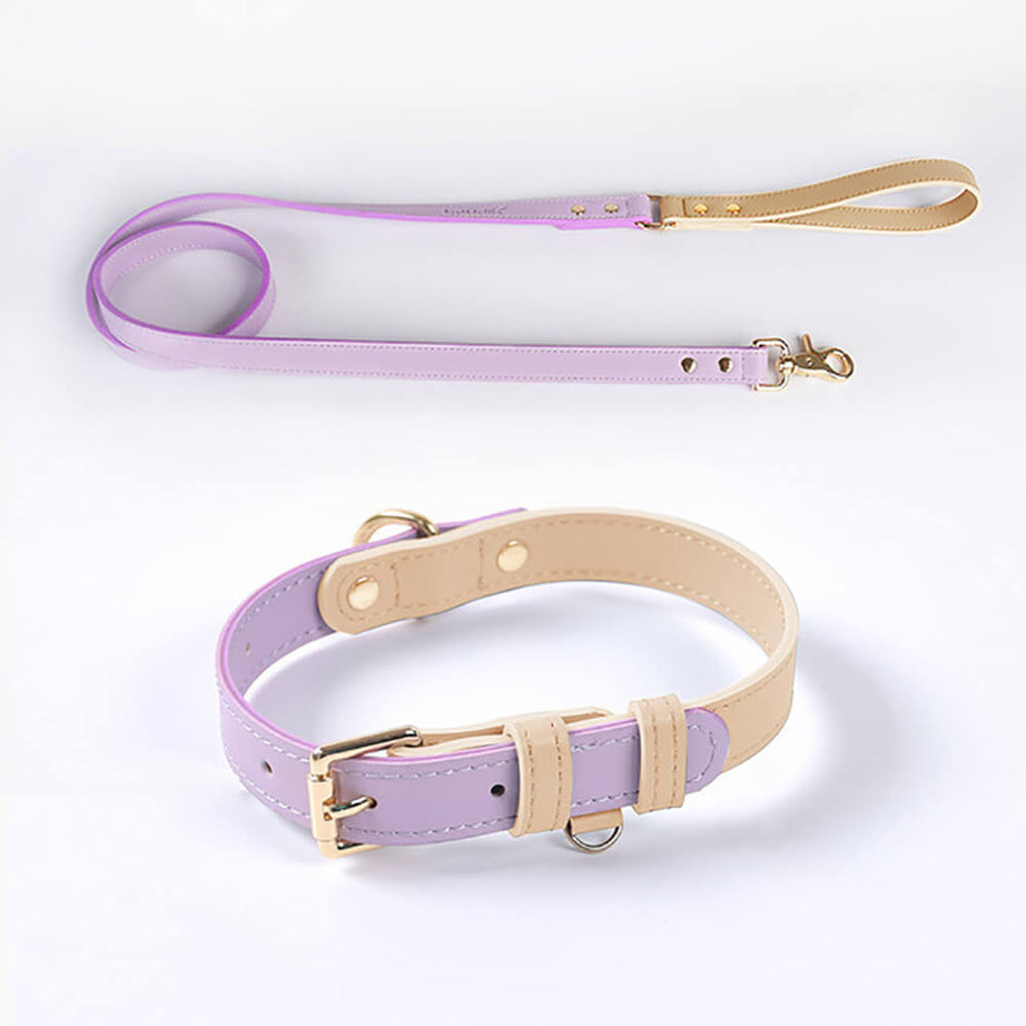 Genuine Leather Dog Collar Kit All-IN-ONE(On Sale!) Purple