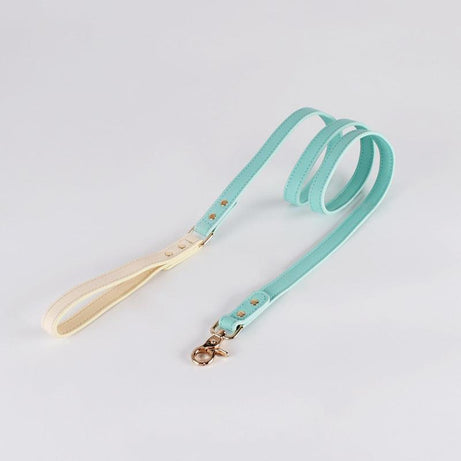 Genuine Leather Dog Collar Kit Leash Mint Standard