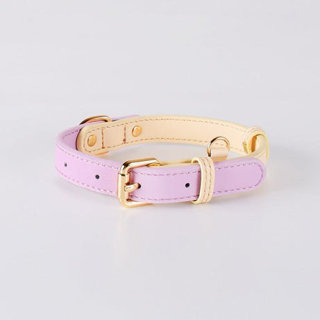 Genuine Leather Dog Collar Kit Collar Purple
