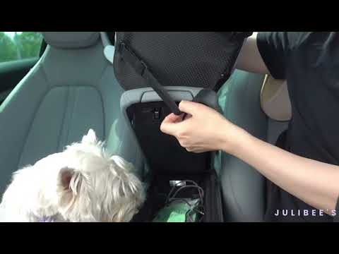 Console Dog Car Seat