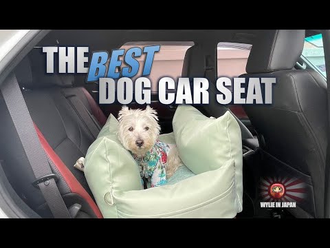 Siège d'auto imperméable et vibrant pour grand chien