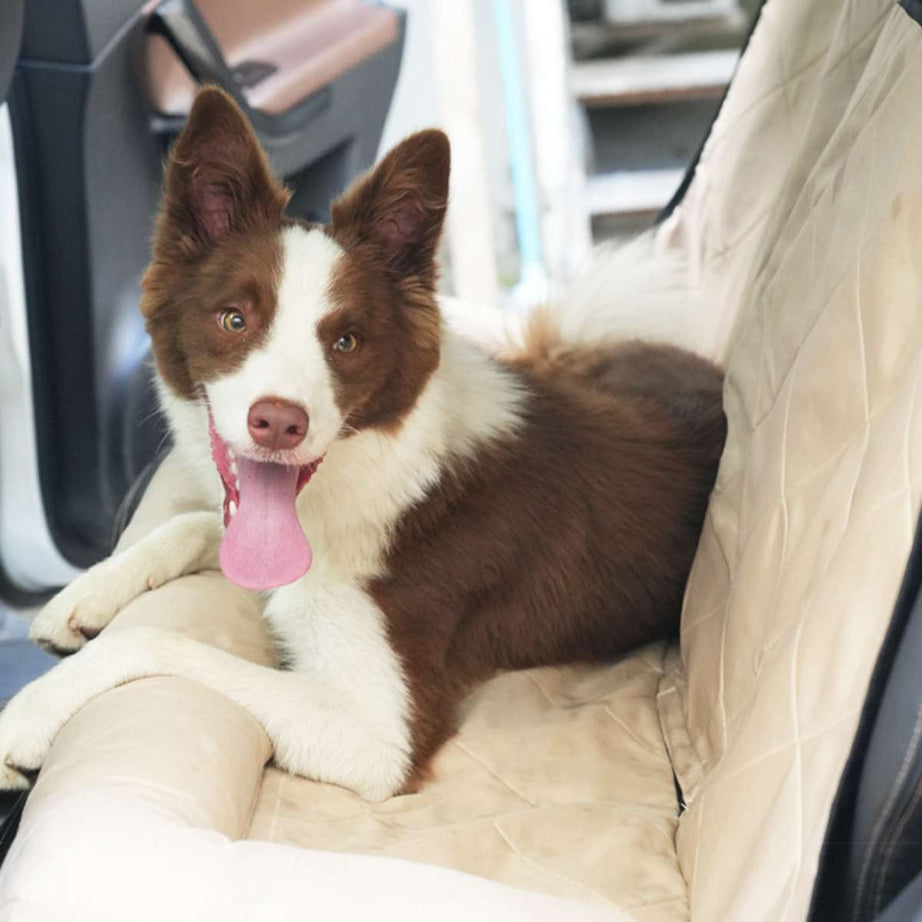 X-Large Dog Car Seat Mat(safety belt included) Brown