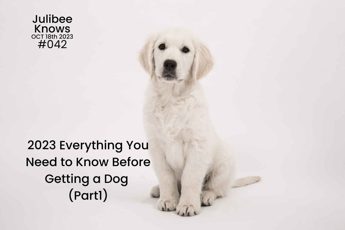 2023 Everything You Need to Know Before Getting a Dog (Part1: Mental&Homecoming)