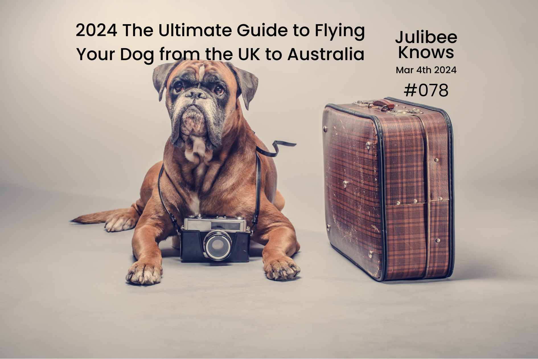 2024 The Ultimate Guide to Flying Your Dog from the UK to Australia