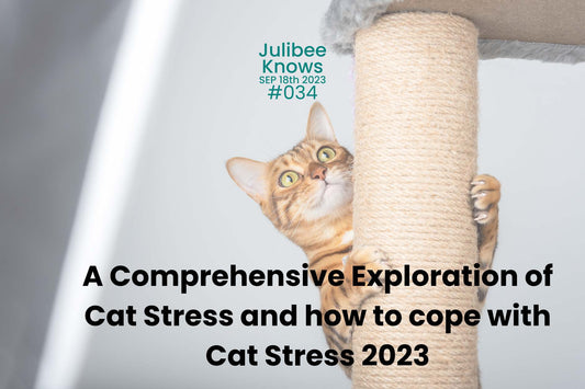 Understanding Cat Stress: How to Recognize, Manage, and Reduce Cat Stress 2023