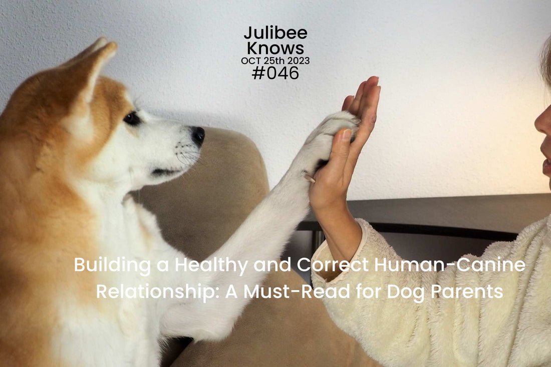 Building a Healthy and Correct Human-Canine Relationship: A Must-Read for Dog Parents