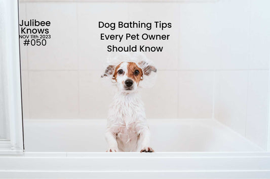 Dog Bathing Tips Every Pet Owner Should Know