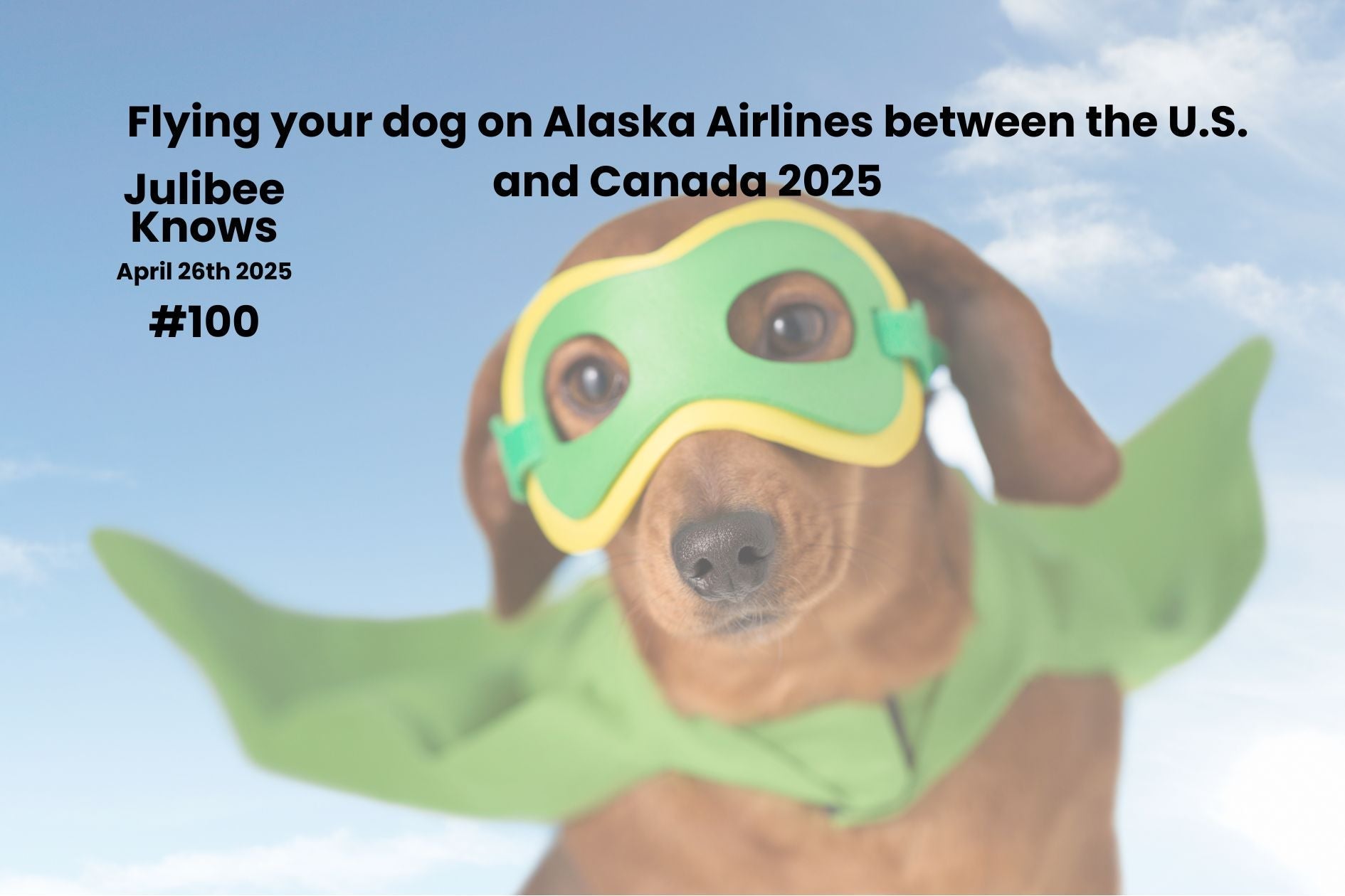 Flying your dog on Alaska Airlines between the U.S. and Canada 2025