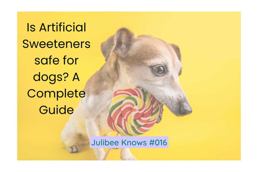 Is Artificial Sweeteners safe for dogs? A Complete Guide - Julibee's