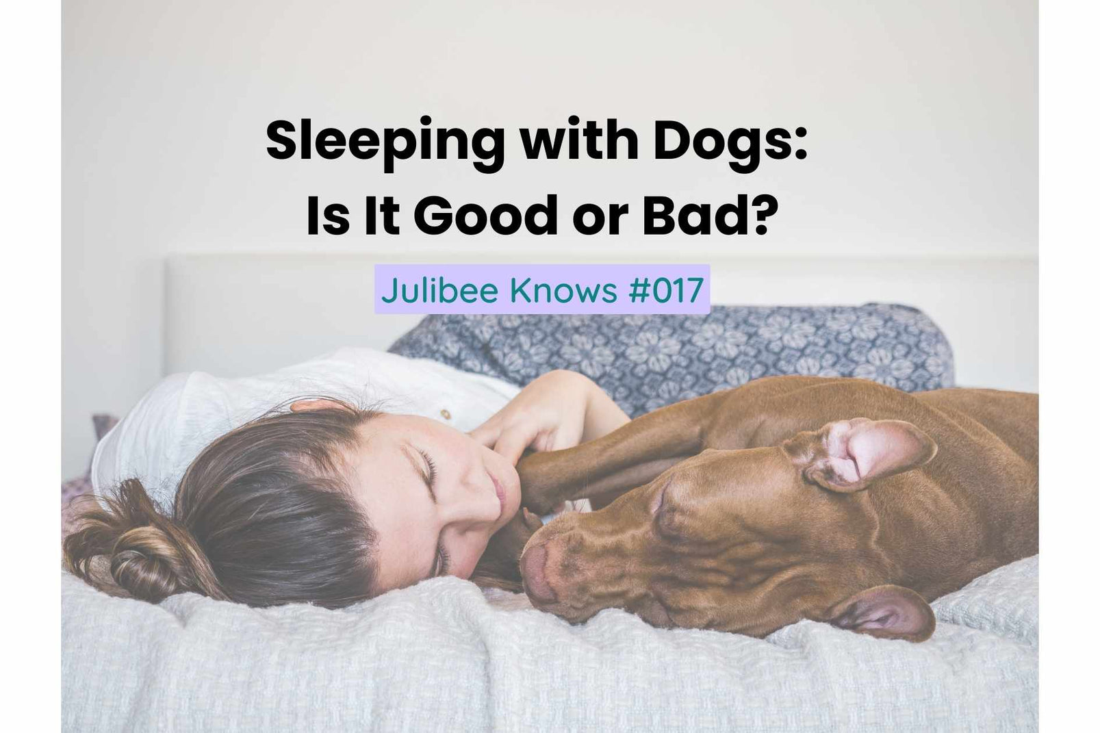 The Pros and Cons of Sleeping with Dogs Ultimate Guide Julibee's