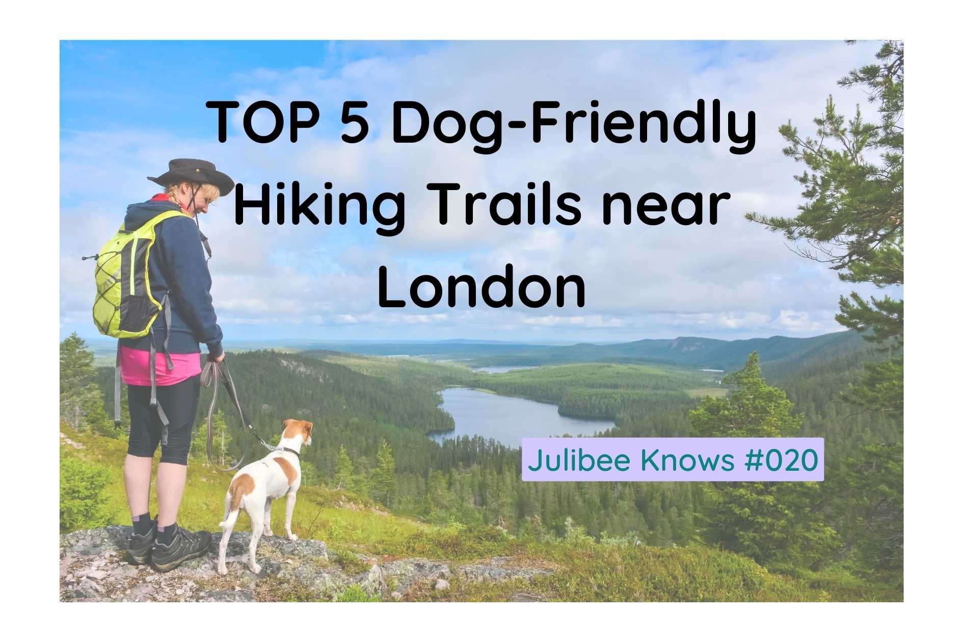 TOP 5 Dog-Friendly Hiking Trails near London for Adventurous Couples and their Furry Friends - Julibee's