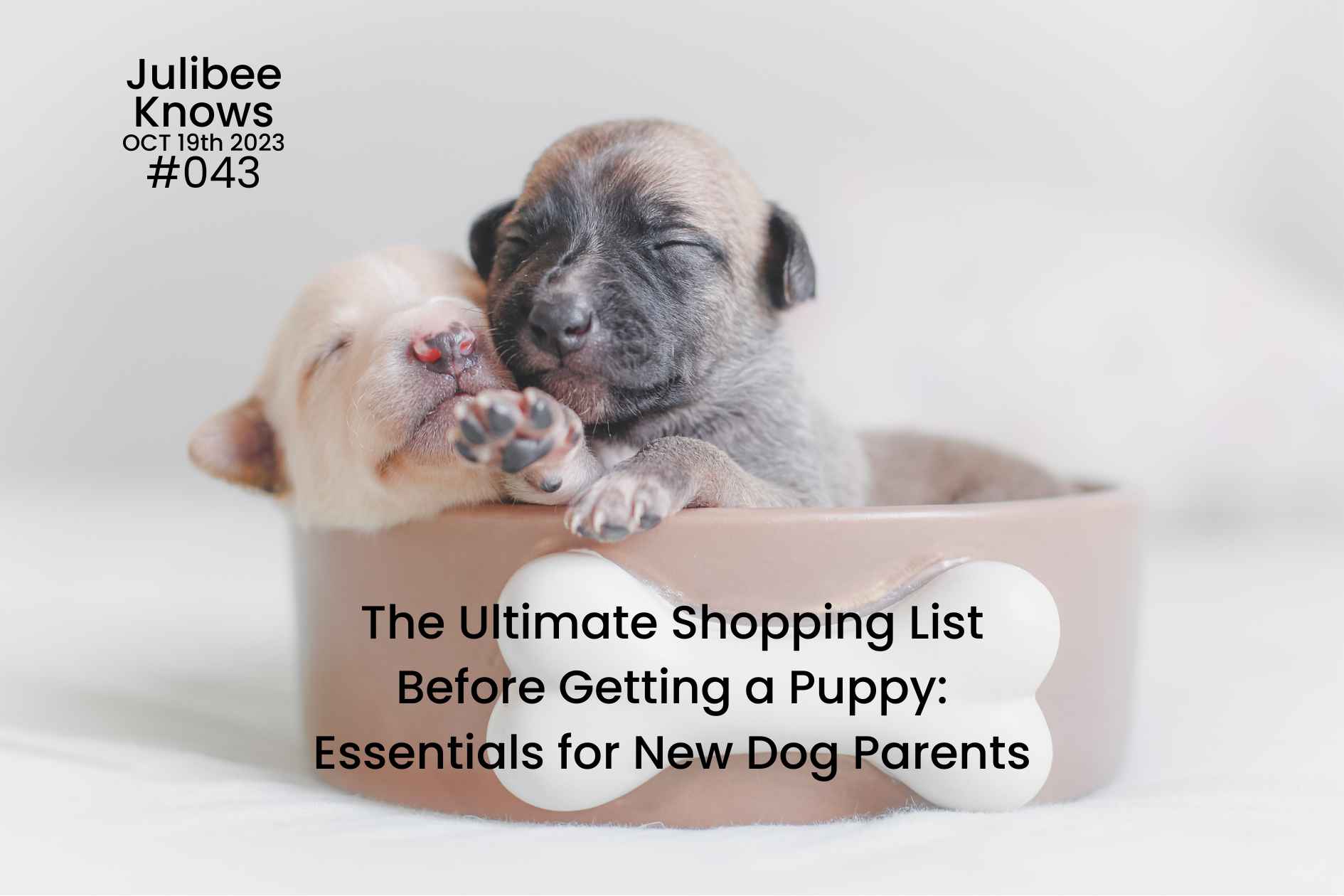 The Ultimate Shopping List Before Getting a Puppy: Essentials for New Dog Parents