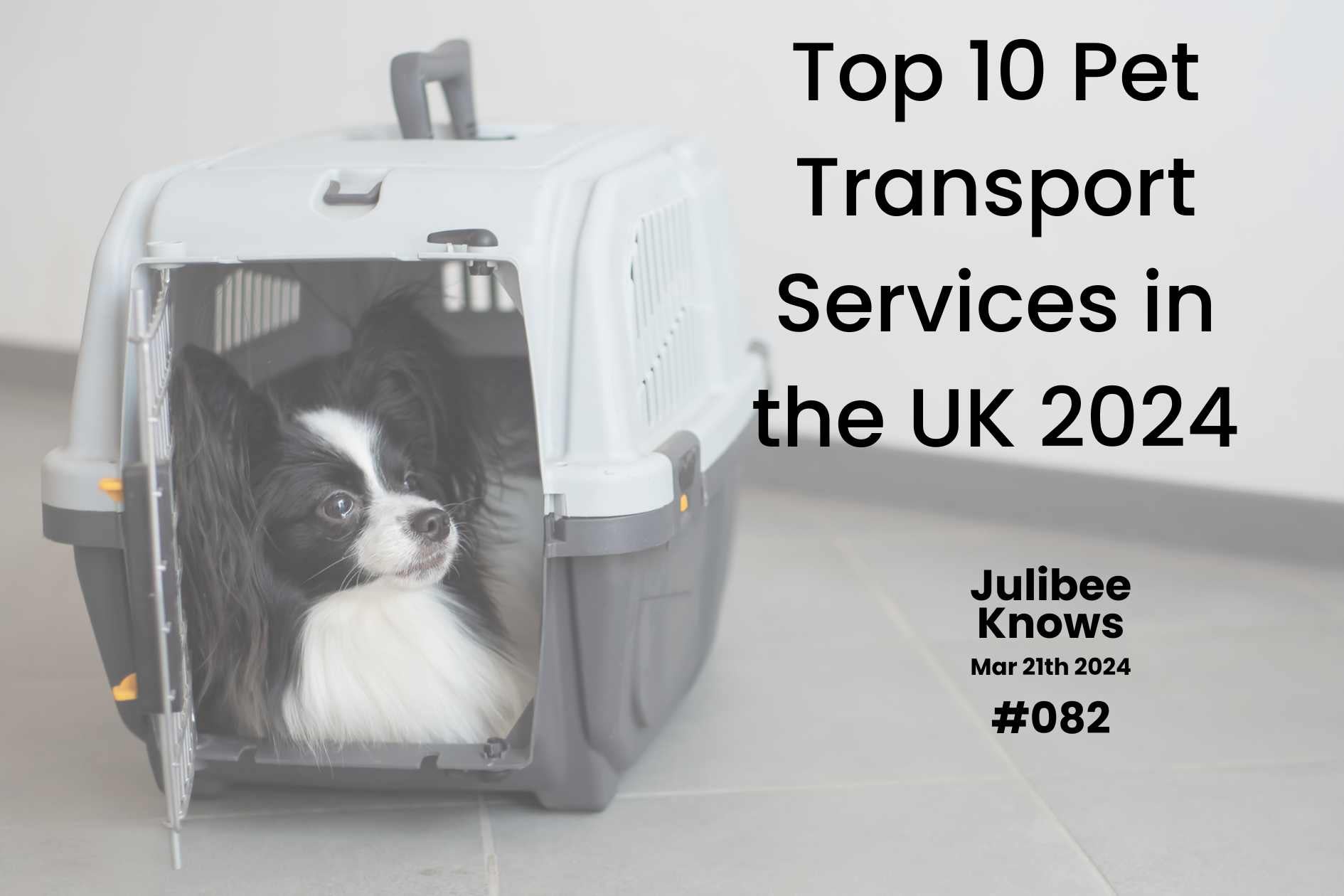 Top 10 Pet Transport Services in the UK 2024