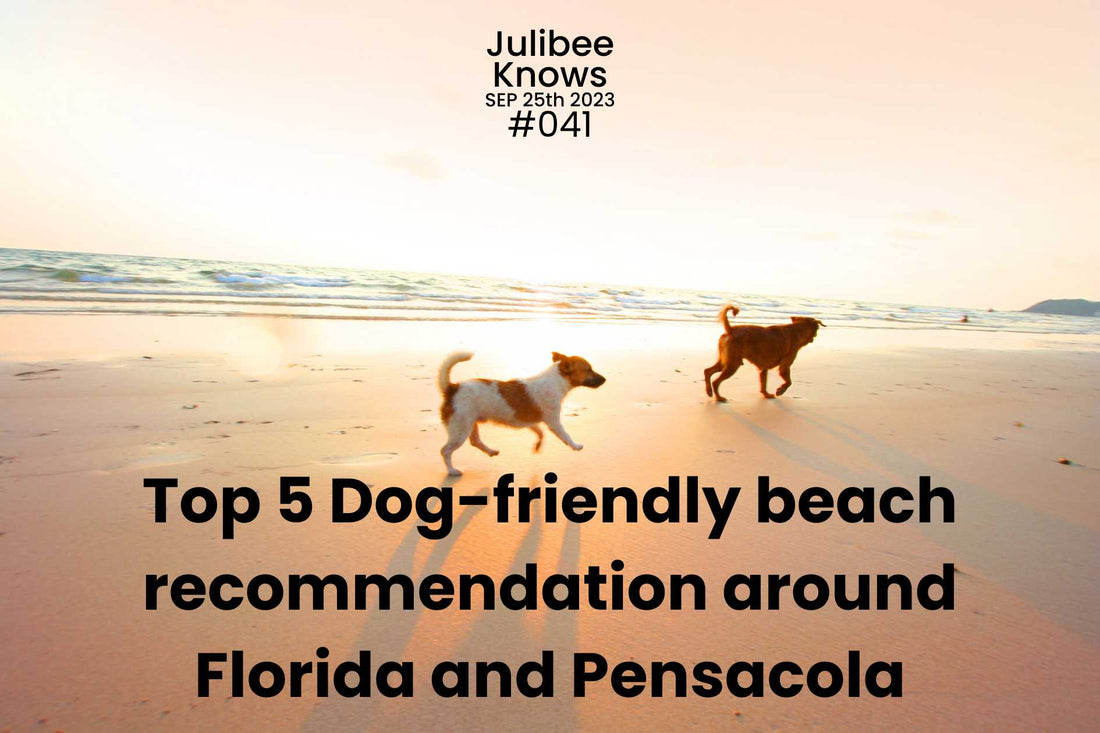 Top 5 Dog-friendly beach recommendation around Florida and Pensacola