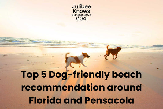 Top 5 Dog-friendly beach recommendation around Florida and Pensacola