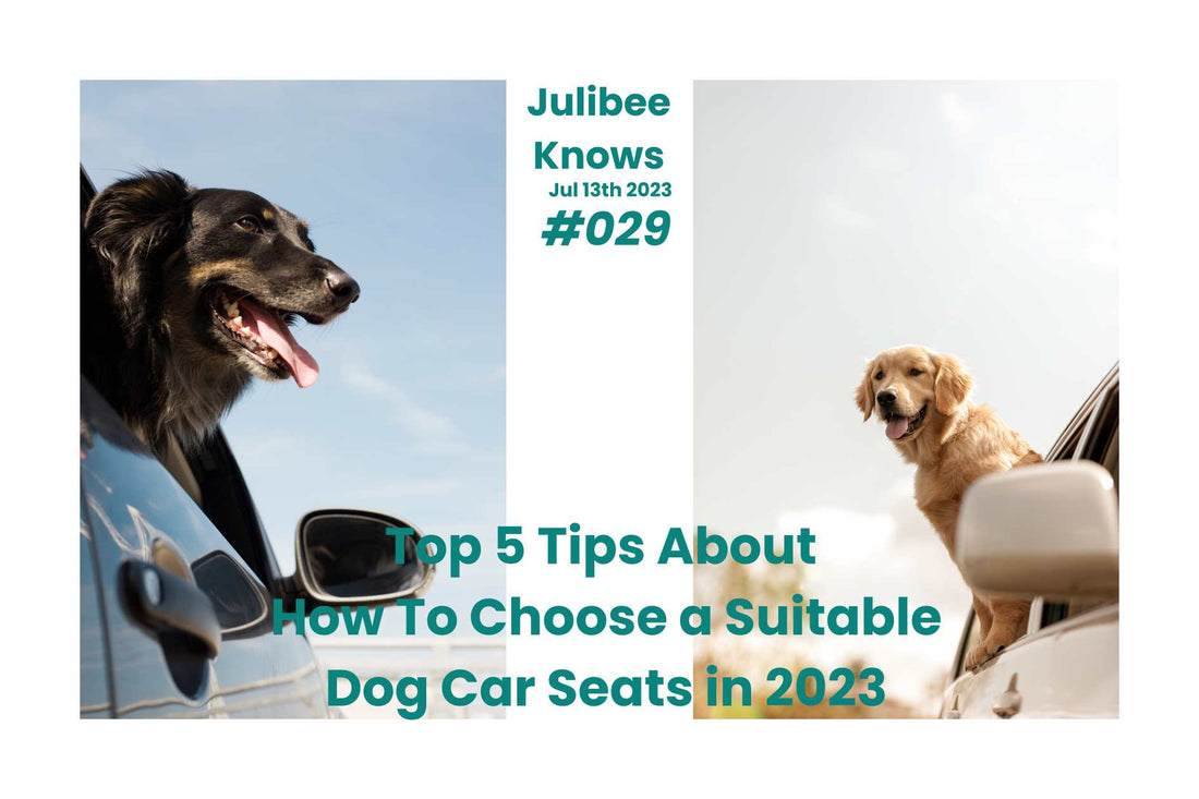 Top 5 Tips About How To Choose a Suitable Dog Car Seats in 2023 - Julibee's