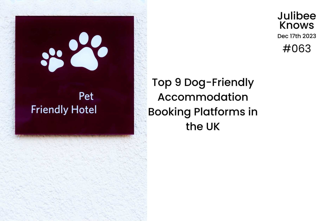 Top 9 Dog-Friendly Accommodation Booking Platforms in the UK