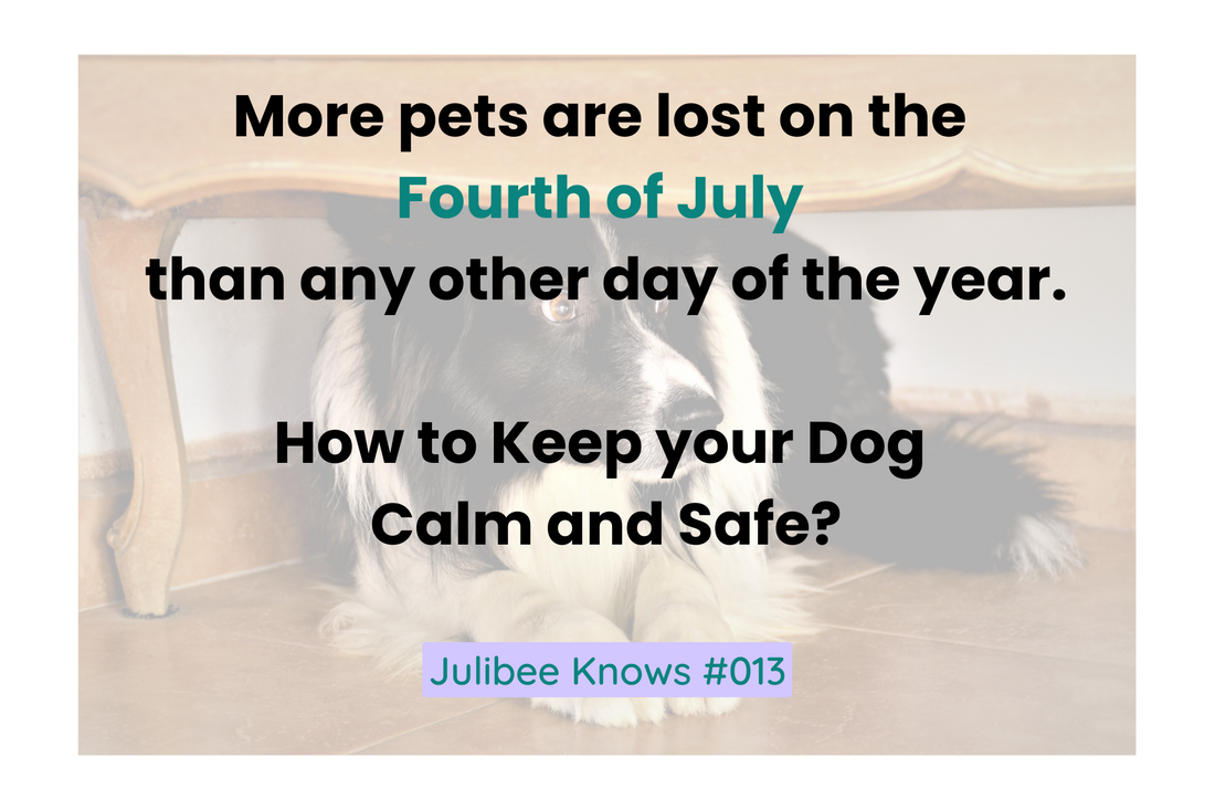 Why Are Dogs Afraid of Fireworks? Explaining the Reasons and Providing Soothing Methods - Julibee's