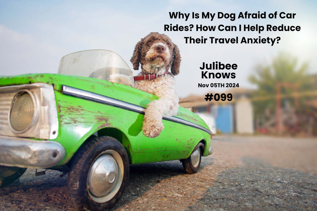 Why Is My Dog Afraid of Car Rides? How Can I Help Reduce Their Travel
