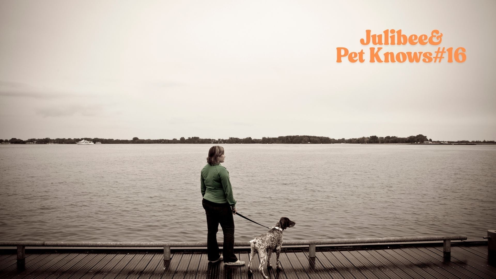 Exploring America's Best Dog-Friendly Beaches and Lakes