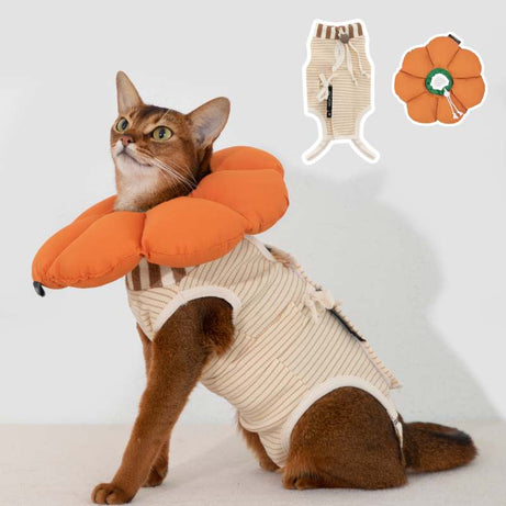 2-In-One Cotton Cat Recovery Suit & Cone Collar Orange