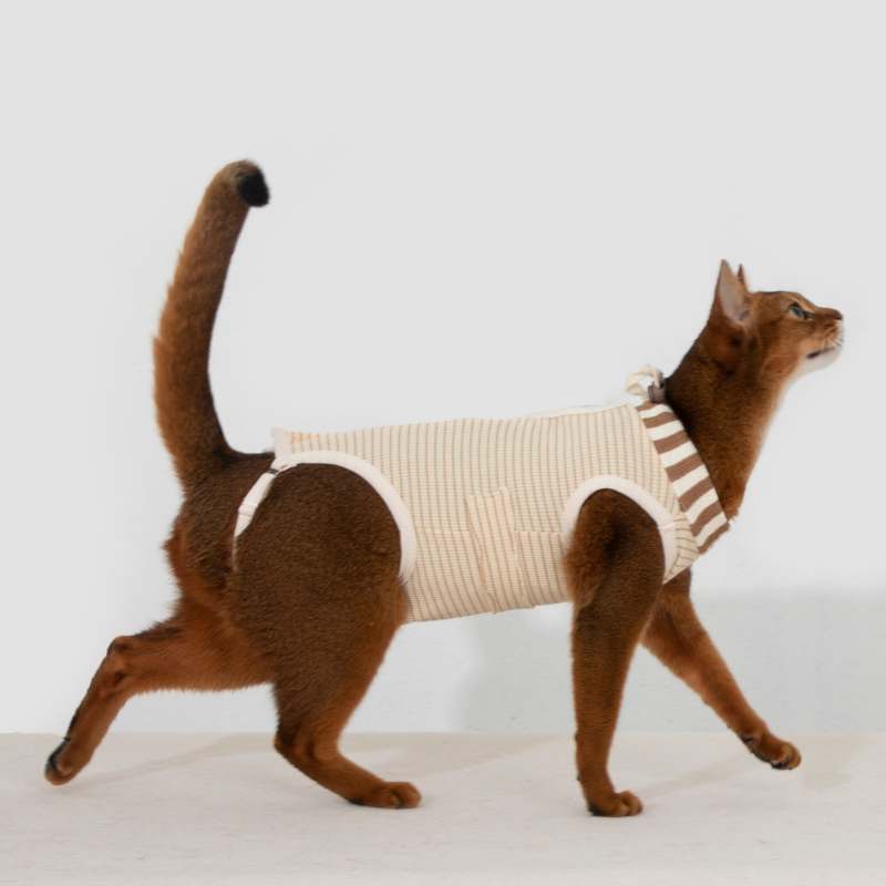 2-In-One Cotton Cat Recovery Suit & Cone Collar