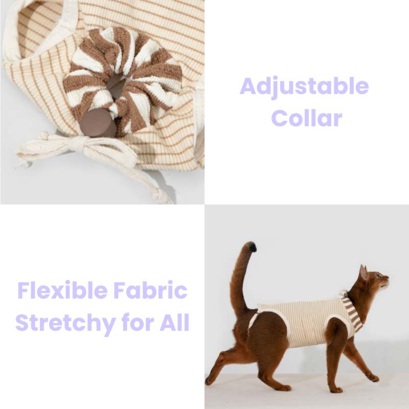 2-In-One Cotton Cat Recovery Suit & Cone Collar