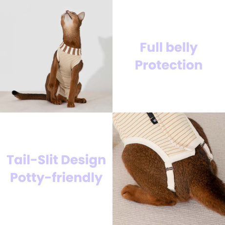 2-In-One Cotton Cat Recovery Suit & Cone Collar