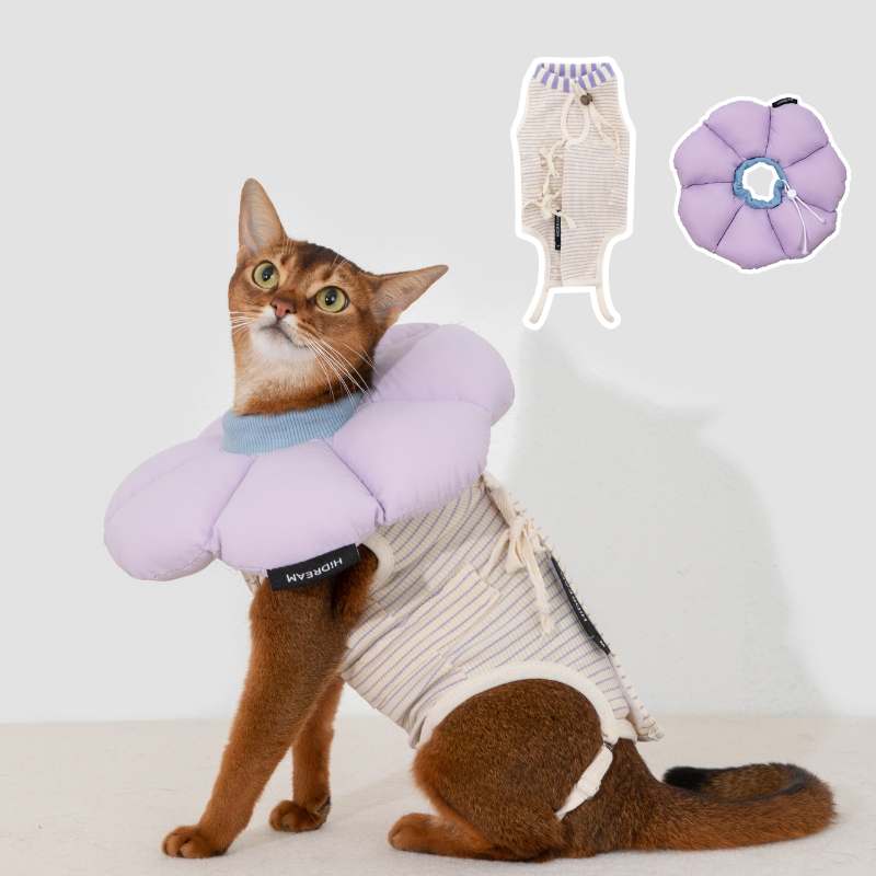 2-In-One Cotton Cat Recovery Suit & Cone Collar Purple