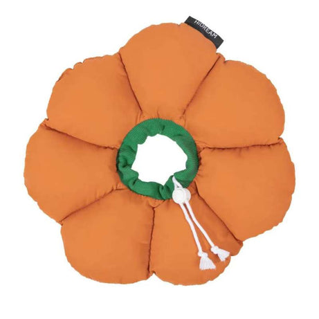 2-In-One Cotton Cat Recovery Suit & Cone Collar