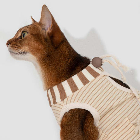 2-In-One Cotton Cat Recovery Suit & Cone Collar