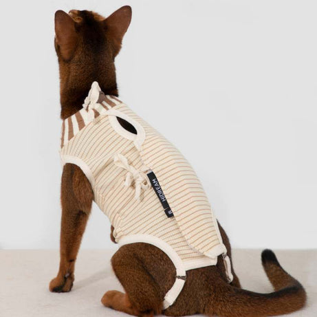 2-In-One Cotton Cat Recovery Suit & Cone Collar