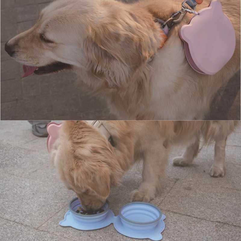 2-in-1 Portable and Collapsible Travel Dog Water Bowl