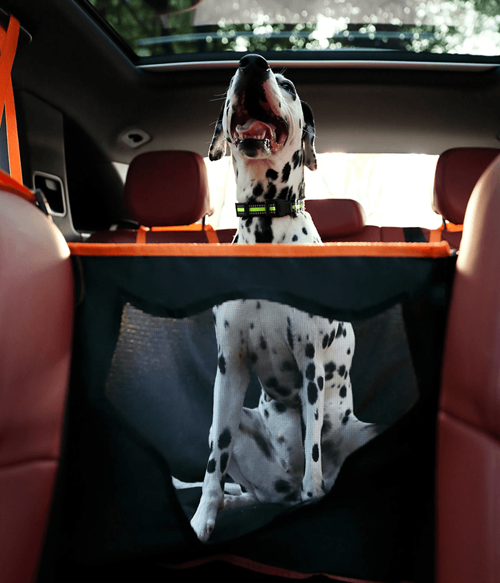 Housse de siège arrière de voiture pour chien avec tapis à