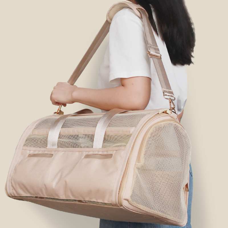 AirCabin Pet Travel Carrier