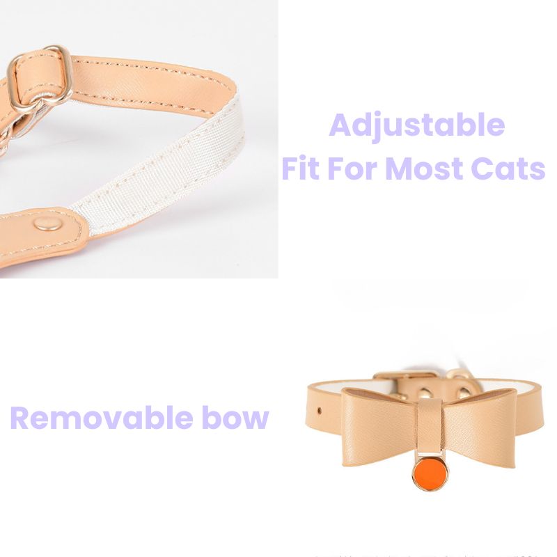 Bowtie Leather Cat Walking Kit (ID Tag included)