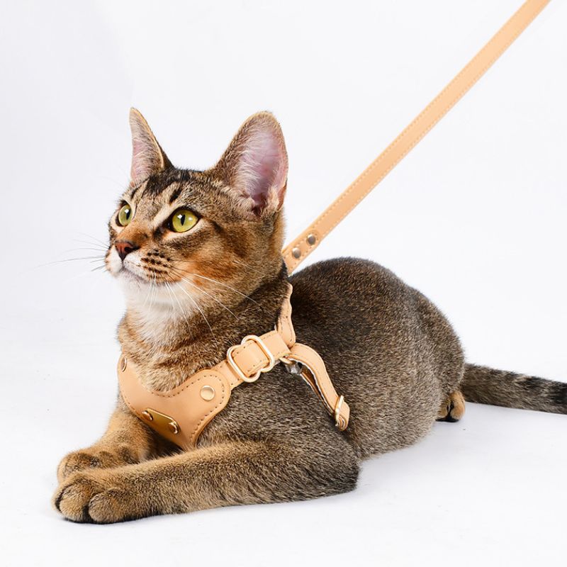 Bowtie Leather Cat Walking Kit (ID Tag included)