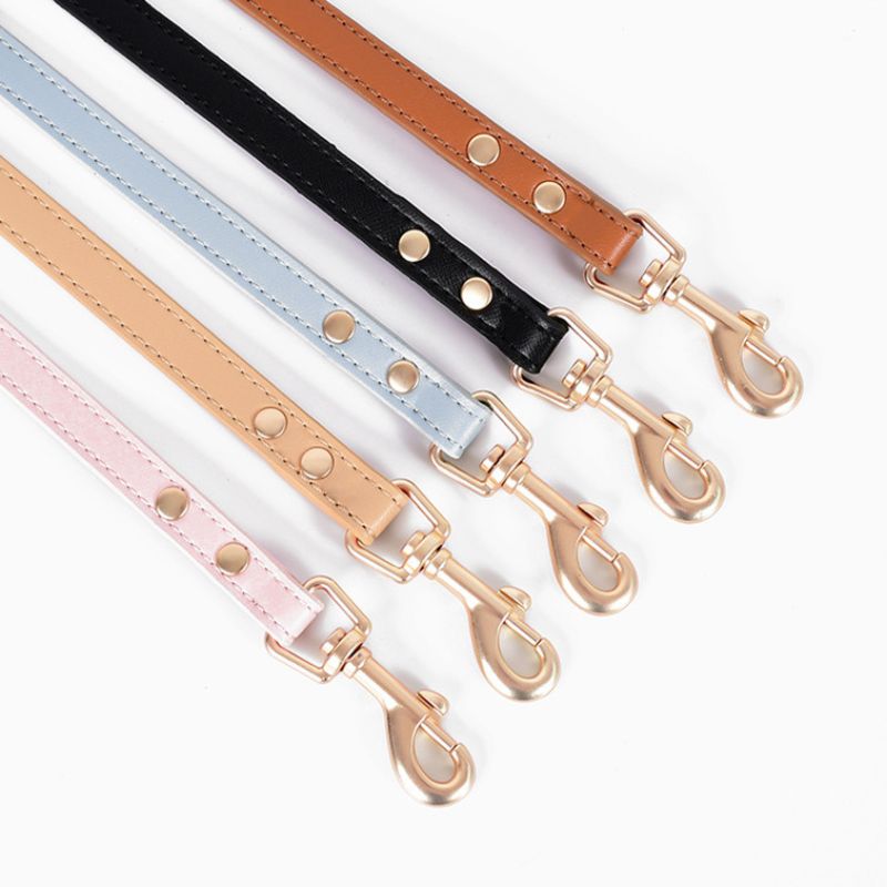 Bowtie Leather Cat Walking Kit (ID Tag included)