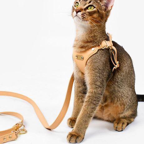 Bowtie Leather Cat Walking Kit (ID Tag included)
